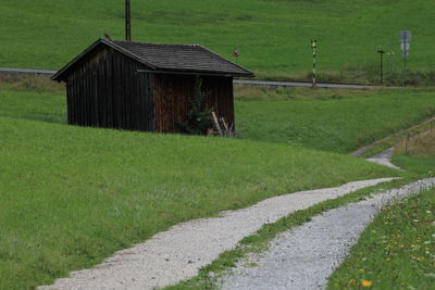 House on field