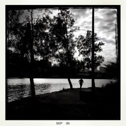 Silhouette of trees at sunset