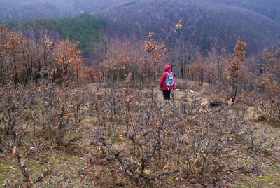 Rear view of person  on land