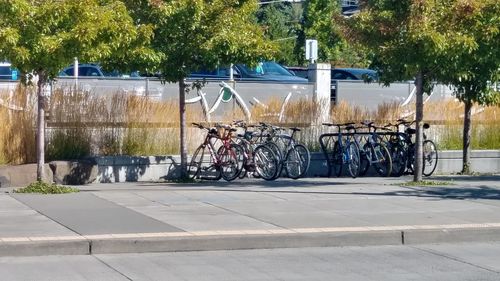 Bicycle against trees