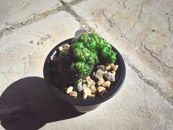 High angle view of food