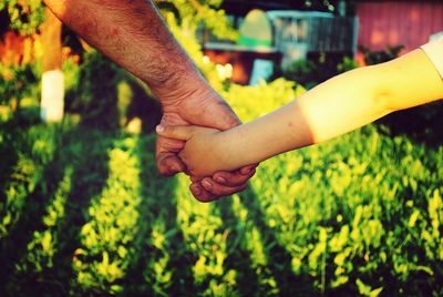 Father holding girl's hand