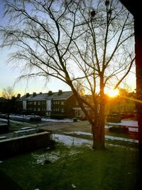 Bare tree by buildings against sky during sunset