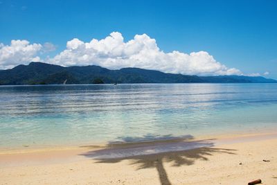 Beach with white sands