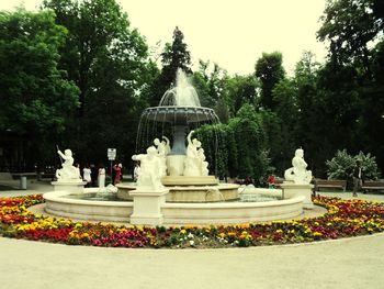 Fountain in garden