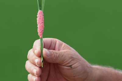 Close-up of hand holding rope