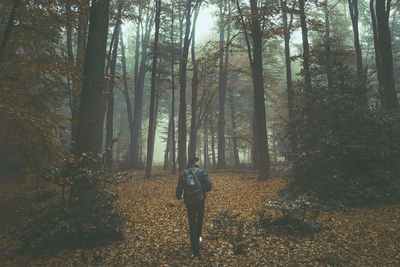 Rear view of man walking at forest