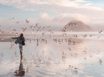 View of birds in sea against sky