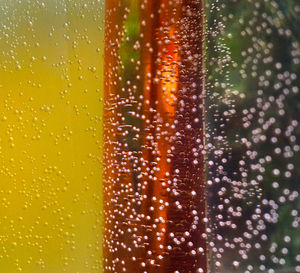 Close-up of raindrops on illuminated glass