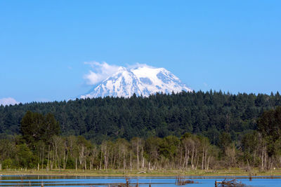 Scenic view of trees and mountains against clear blue sky