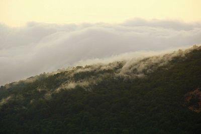 Scenic view of landscape against cloudy sky