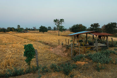 Scenic view of field against clear sky