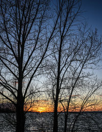 Silhouette bare trees against sky during sunset