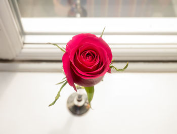 Close-up of rose bouquet