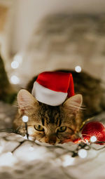 One kitten sitting on the bed at night with a santa claus hat and a burning garland.