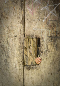 Close-up of hand on wood