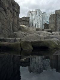 Mid distance view of polar bear sleeping on rocks at zoo