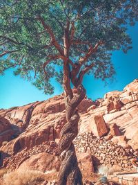 Low angle view of trees on landscape against blue sky