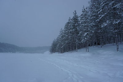 Trees on snow covered field against sky