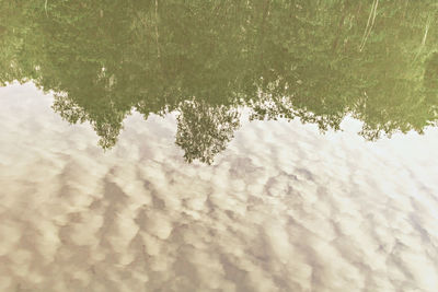 High angle view of reflection of trees in lake