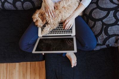 Low section of woman with laptop and dog at home