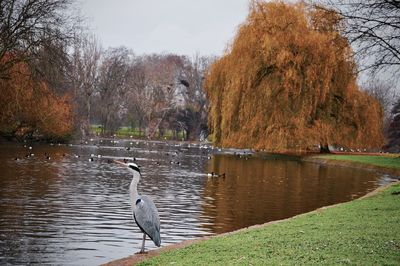 Scenic view of calm lake