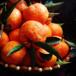 Close-up of orange fruits