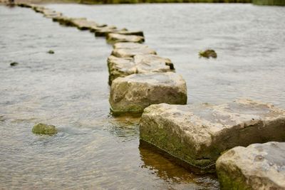 Close-up of rocks by river