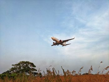 Low angle view of airplane flying against sky