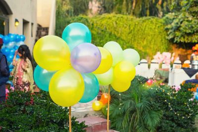 Multi colored balloons against trees at party