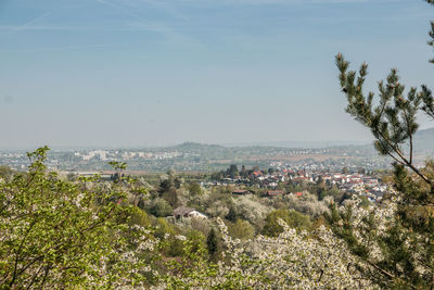 High angle view of townscape against sky