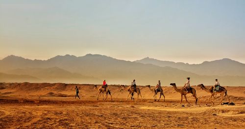 Group of people on desert against sky