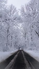 Road amidst snow covered trees during winter