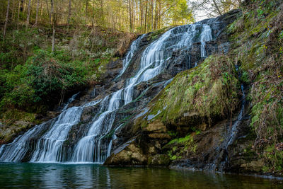 Scenic view of waterfall in forest