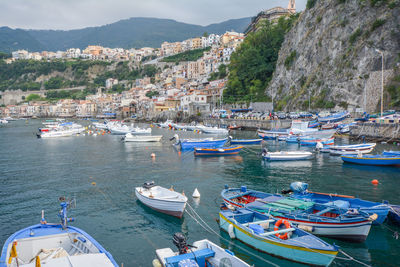 Boats moored at harbor