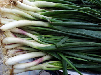 Close-up of vegetables