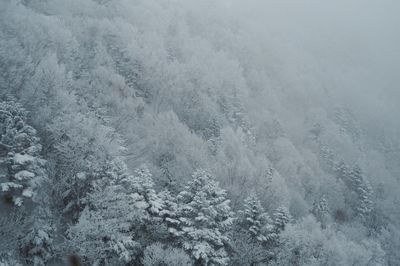 Full frame shot of frozen ice