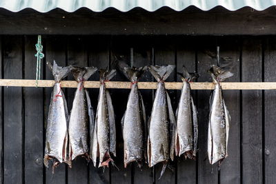 View of dead fishes hanging next to roof