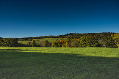 Scenic view of field against clear blue sky