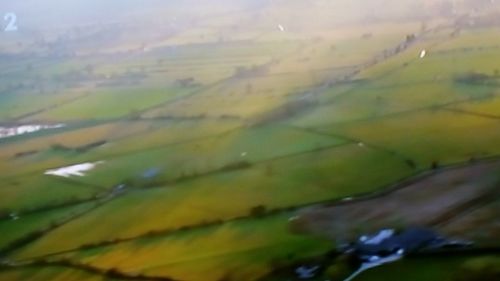 Close-up of agricultural field