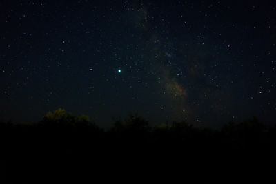 Low angle view of silhouette trees against sky at night