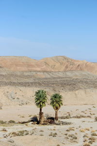 Scenic view of desert against clear sky