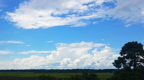 Scenic view of blue sky over field