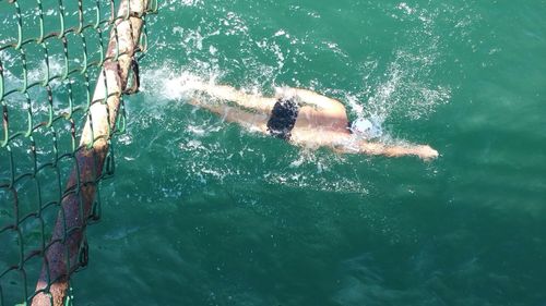 High angle view of swimmer swimming in pool below fence