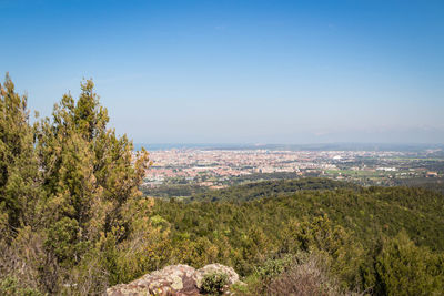 High angle view of trees on landscape against clear sky