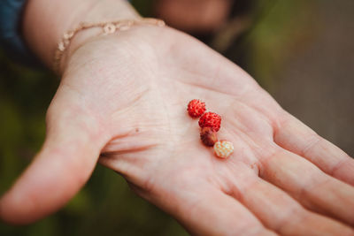 Close-up of woman hand holding tiny strawberries outdoors