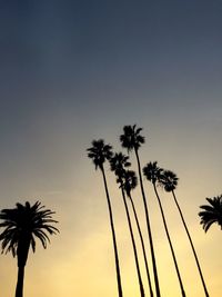 Low angle view of silhouette palm trees against clear sky