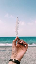 Cropped hand holding feather at beach against sky