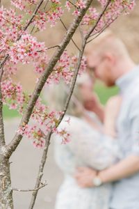 Low angle view of people on flowering plant