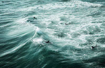 High angle view of people swimming in sea